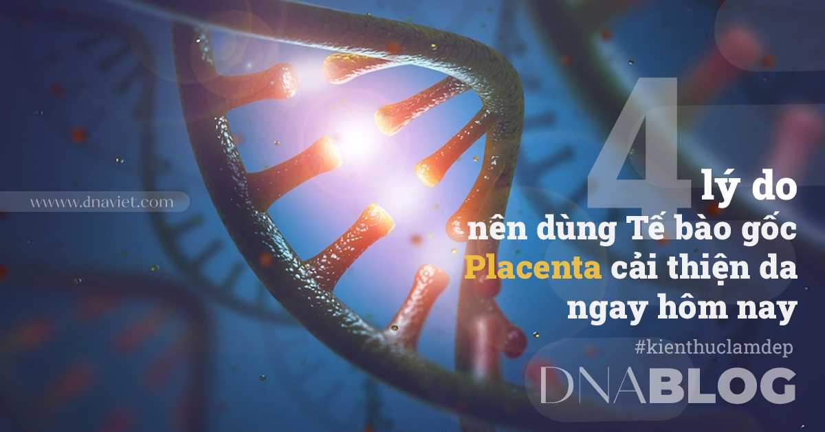 4 lý do nên dùng Tế bào gốc Placenta cải thiện da ngay hôm nay